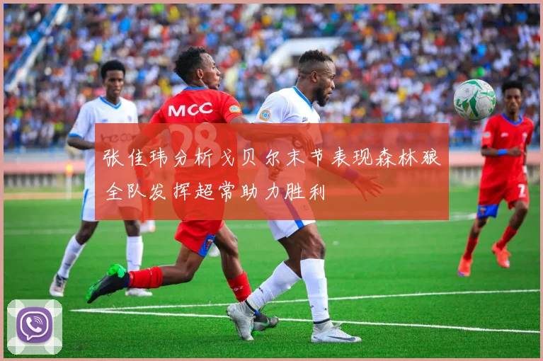 张佳玮分析戈贝尔末节表现森林狼全队发挥超常助力胜利