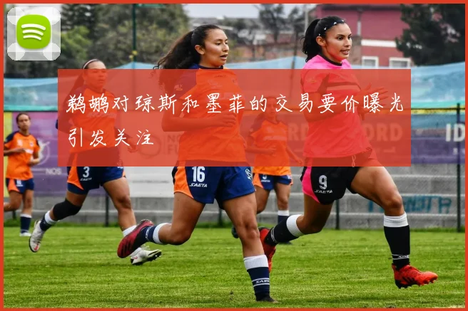 鹈鹕对琼斯和墨菲的交易要价曝光引发关注